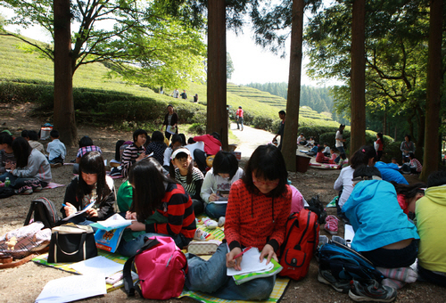 Boseong Green Tea Festival (보성 다향제)