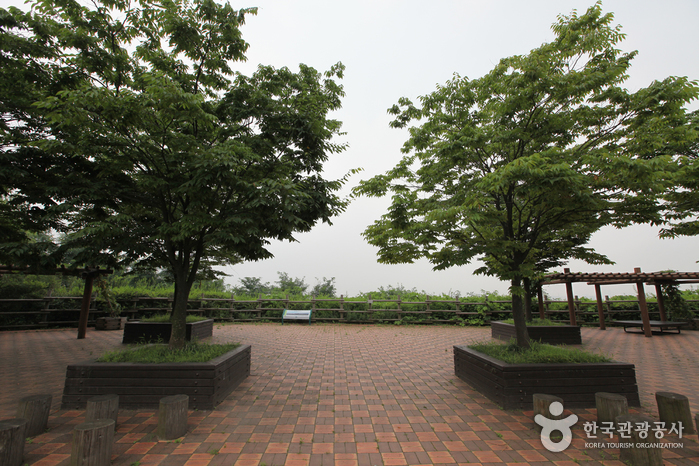 Parc Haneul (하늘공원)