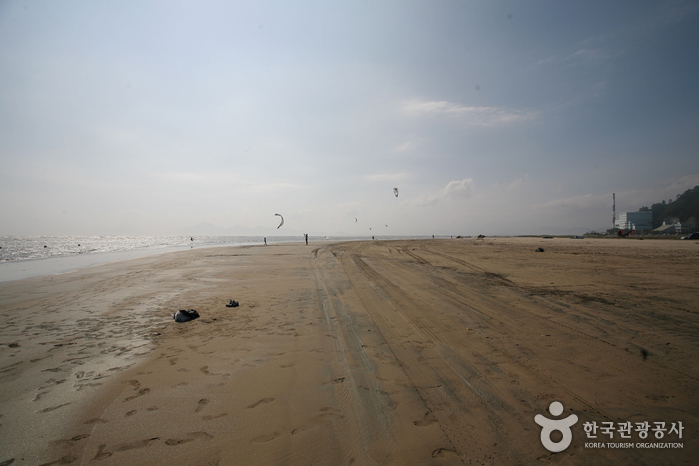Dadaepo Beach (다대포해수욕장)