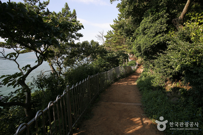 Amnam-Park (부산 암남공원)
