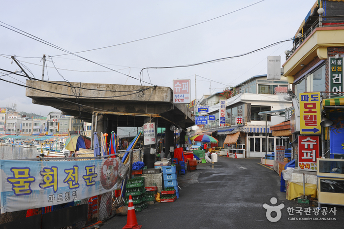 Daepohang Port (대포항)