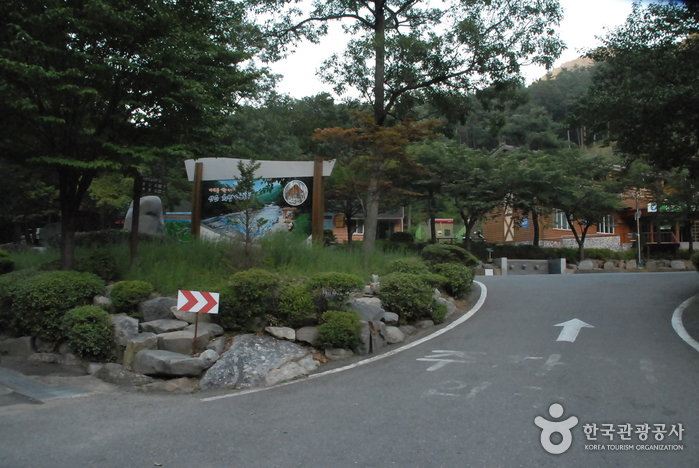 Seongjusan Recreational Forest (성주산자연휴양림)