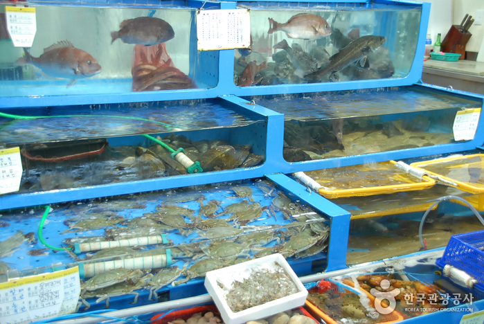 武昌浦渔业体验村무창포어촌체험마을