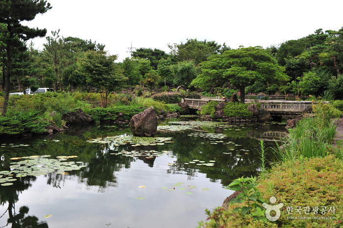 Hueree Natural Park (휴애리 자연생활공원)