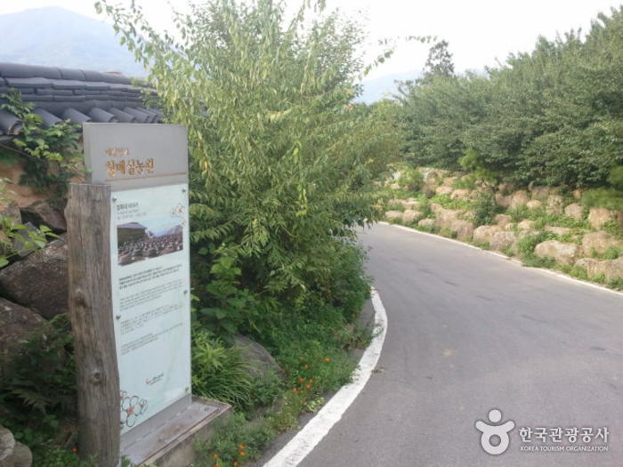 Gwangyang Cheong Maesil Farm (광양 청매실농원)