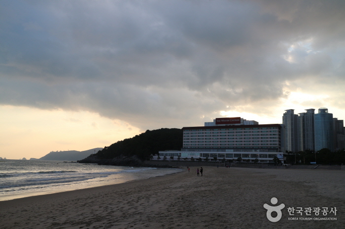 Strand Haeundae (해운대해수욕장)