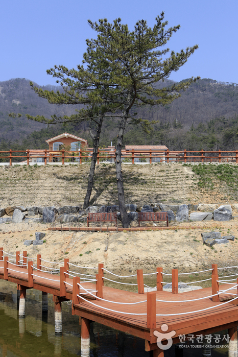 Byeonsan Natural Recreation Forest (변산자연휴양림)