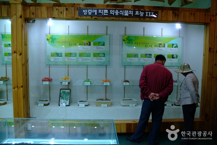Daea Arboretum (대아수목원)