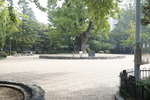 청주 중앙공원