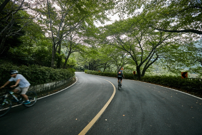 Hügel Anmingogae (안민고개)