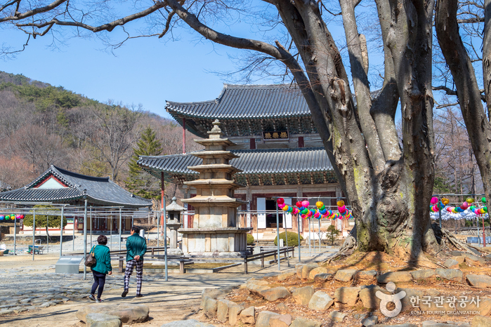 Templo Muryangsa en Buyeo (무량사(부여))