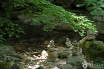 동학사계곡 (4)