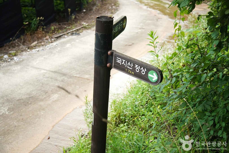 국지산