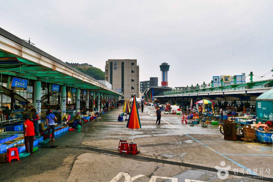 묵호항 선어판매센터 (1)