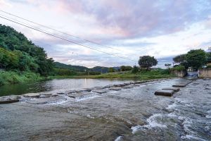 고양_공릉천 (4)