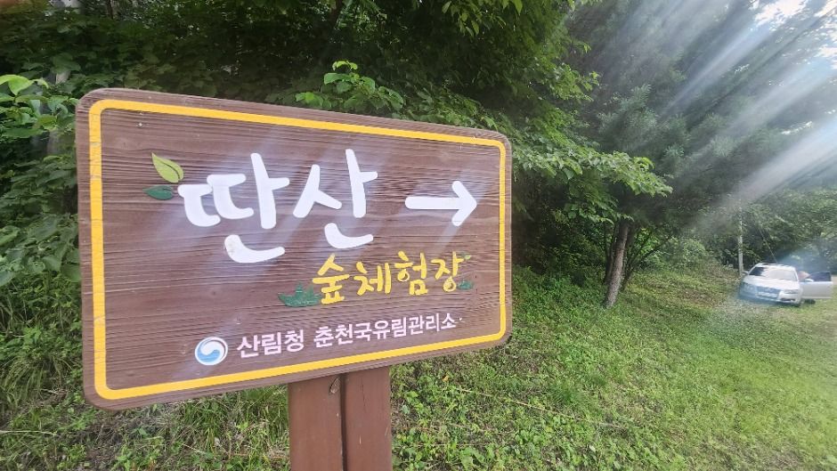 딴산
