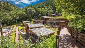 강릉_국립대관령치유의숲 (5)