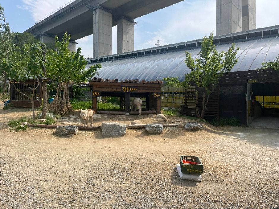 대관령아기동물농장