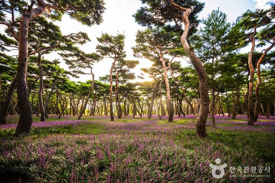 황성공원