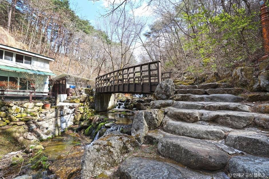 방동약수