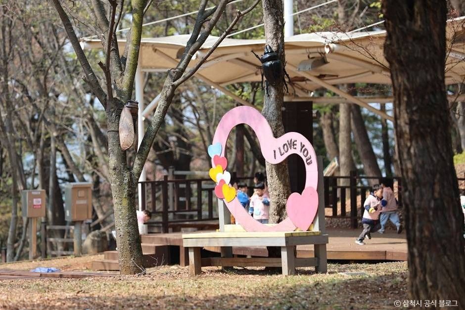 삼척_봉황산산림욕장 (6)