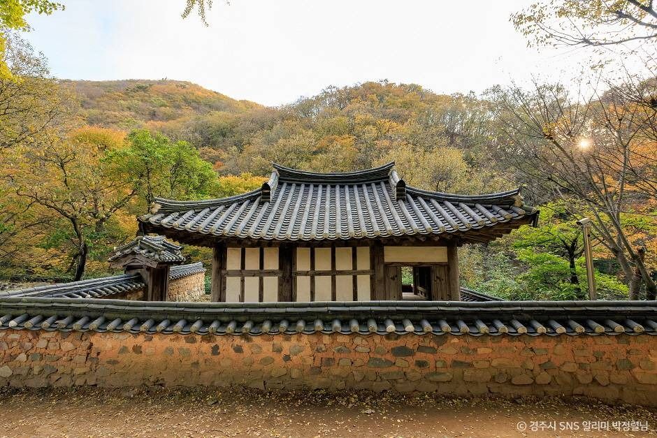 경주 유연정