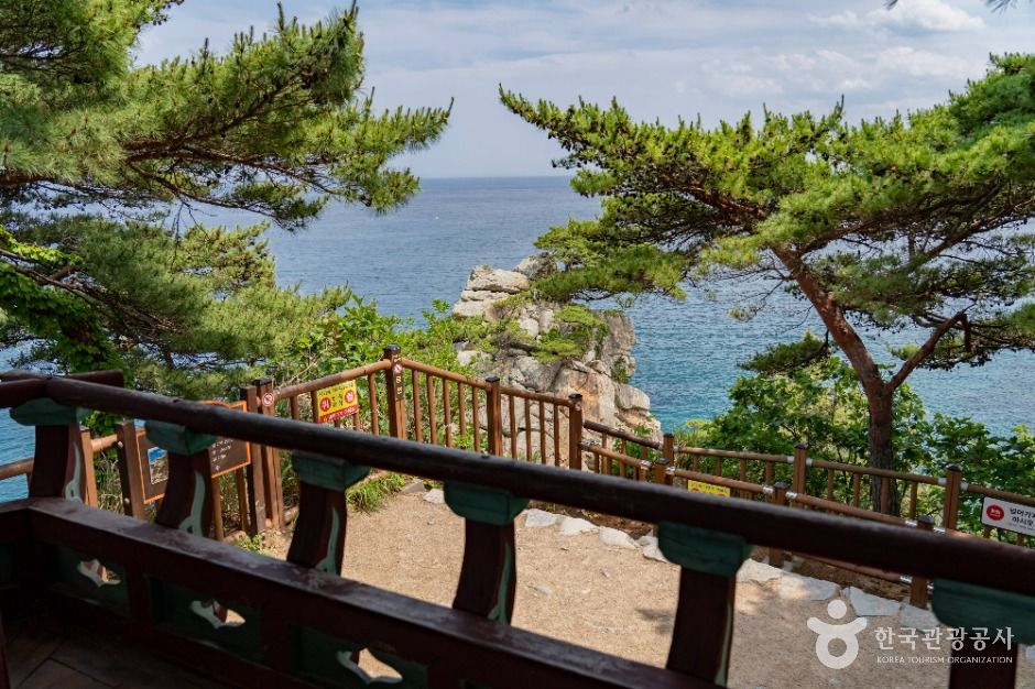 하조대