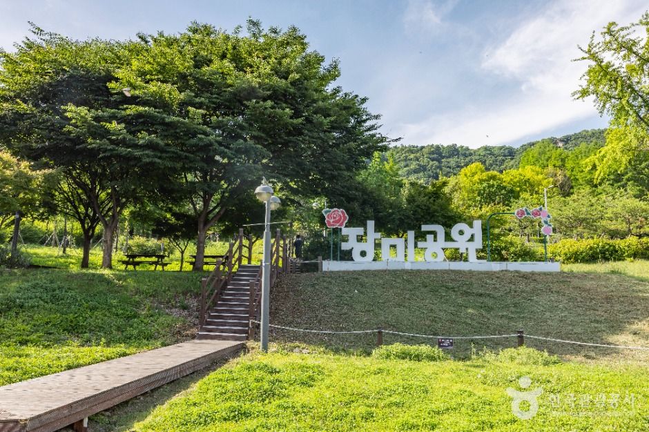 thumbnail-장미공원-16