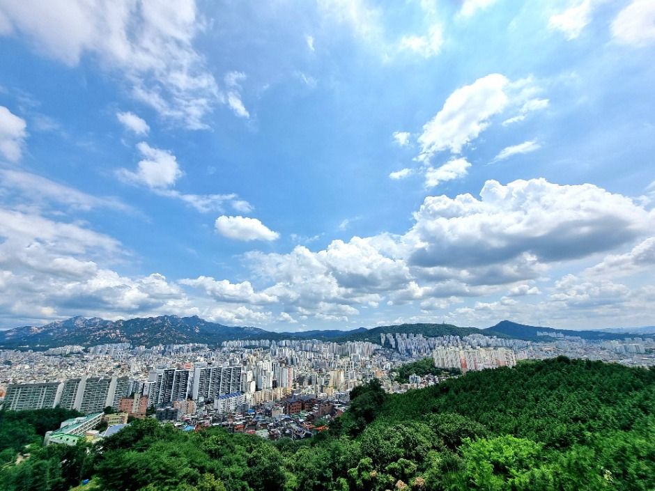 [서울둘레길 16코스] 봉산·앵봉산코스