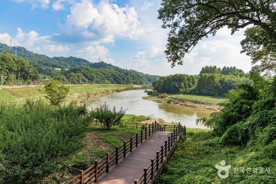 곡성_곡성 함허정 (5)