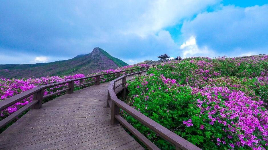 황매산(산청)