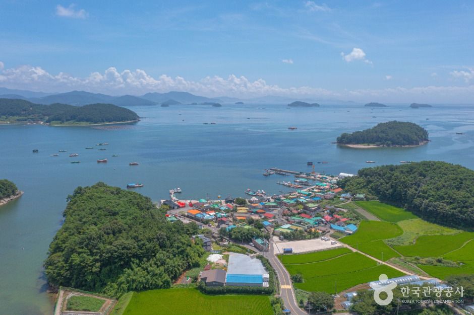 송천참다래마을