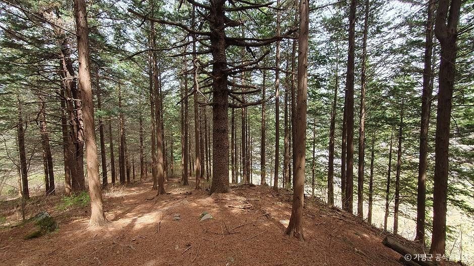 초롱이둥지마을