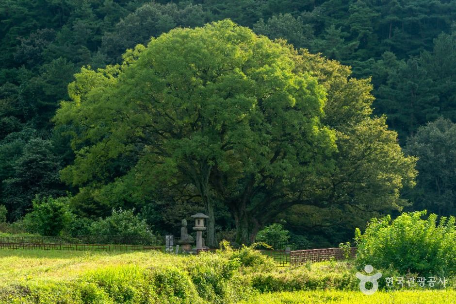 합천 백암리 석등