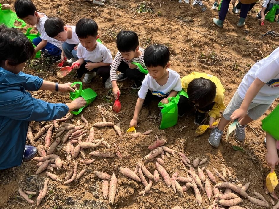 청원생명축제