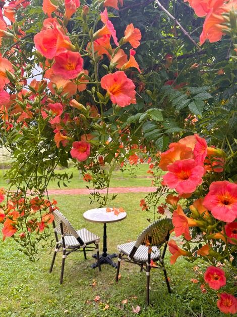 thumbnail-리베볼-10