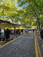 2025 정동문화축제 5