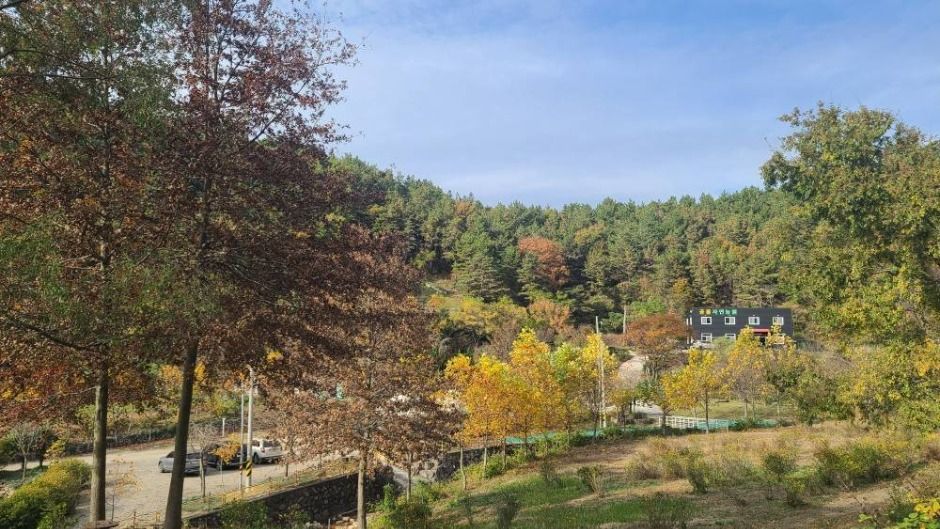 공룡자연농원