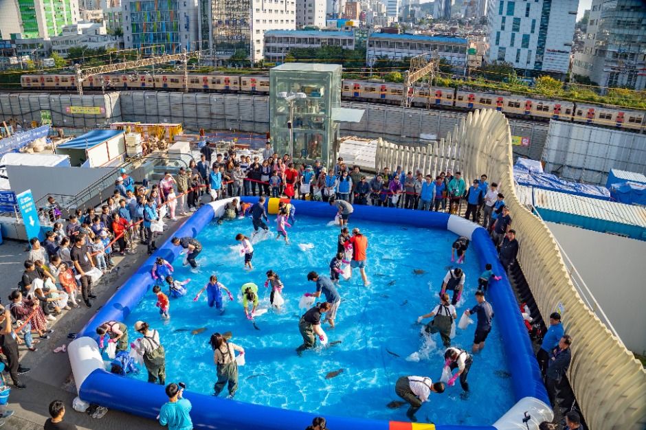 도심속 바다축제