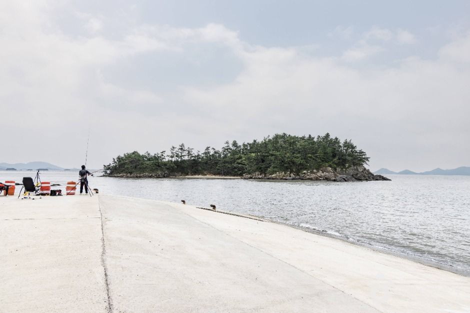 증도 왕바위여객선터미널