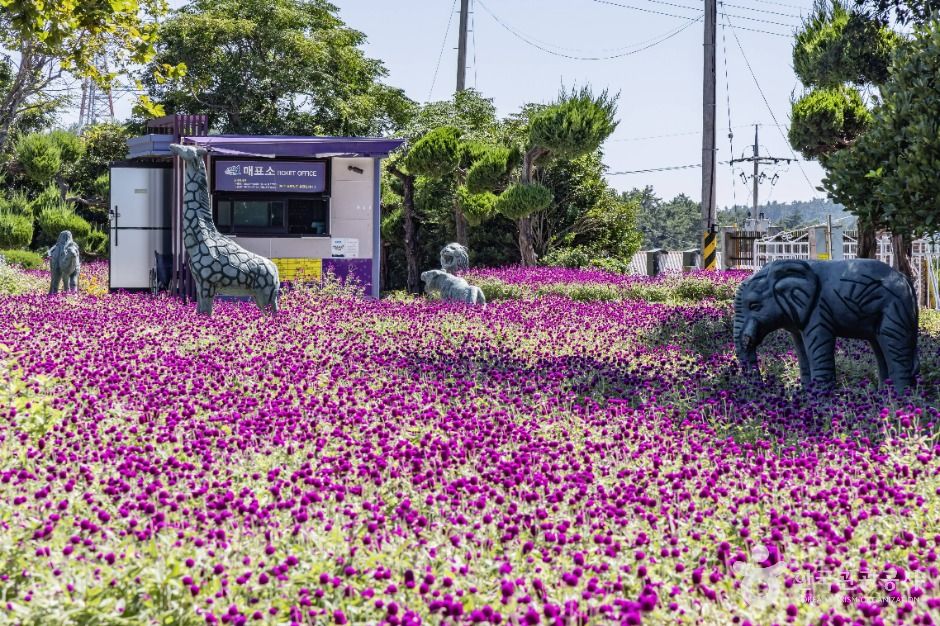 신안_세계화석광물박물관 (2)
