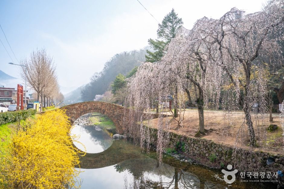 창녕 영산 만년교