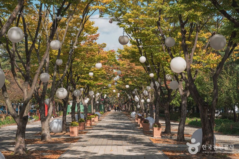 thumbnail-보라매공원(대전)-4