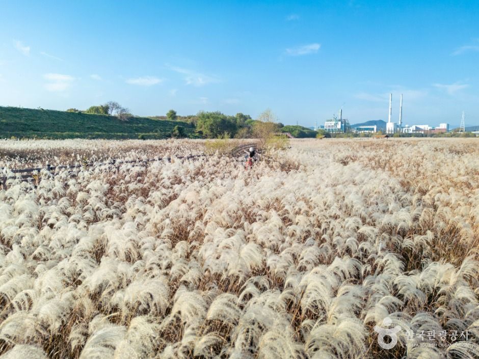 thumbnail-대명유수지-2