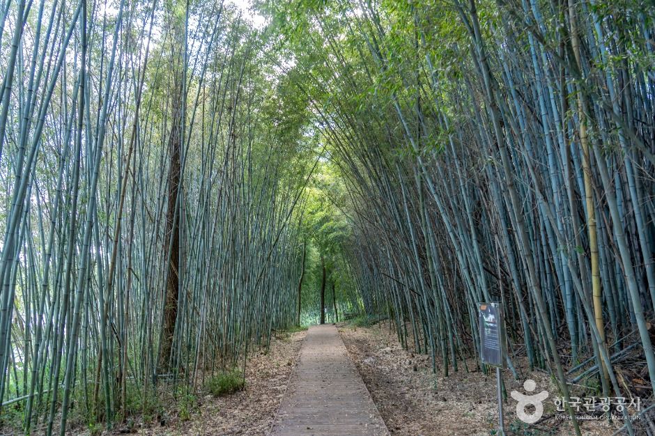 군산호수 둘레길