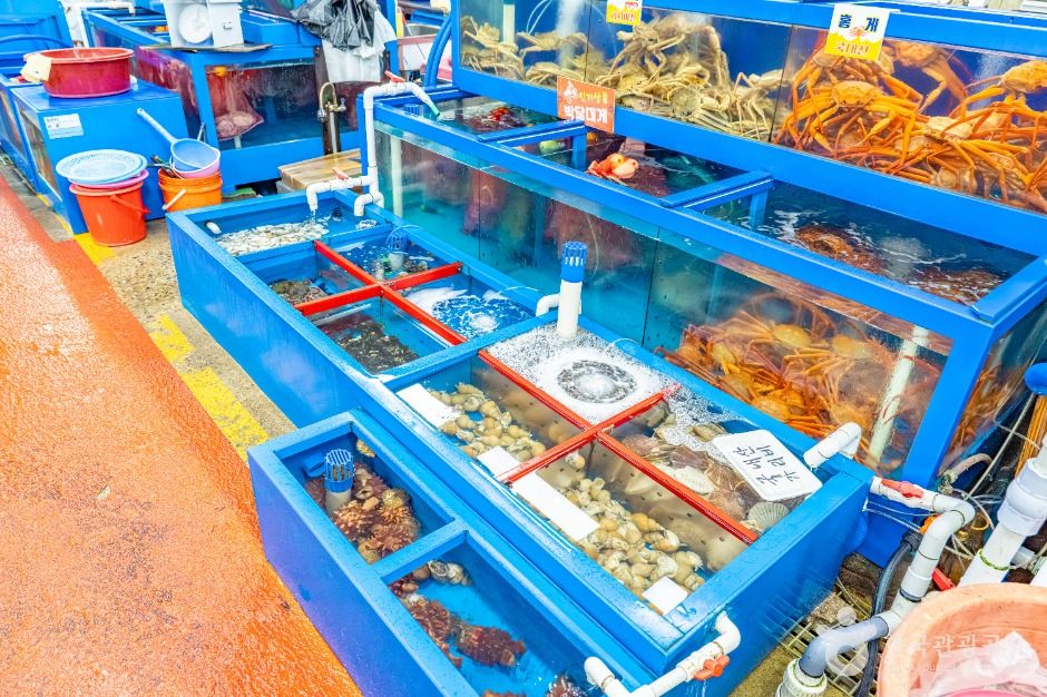 thumbnail-죽변수산물시장-2