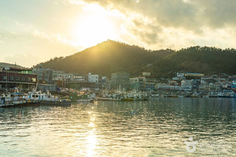 thumbnail-완도항-8