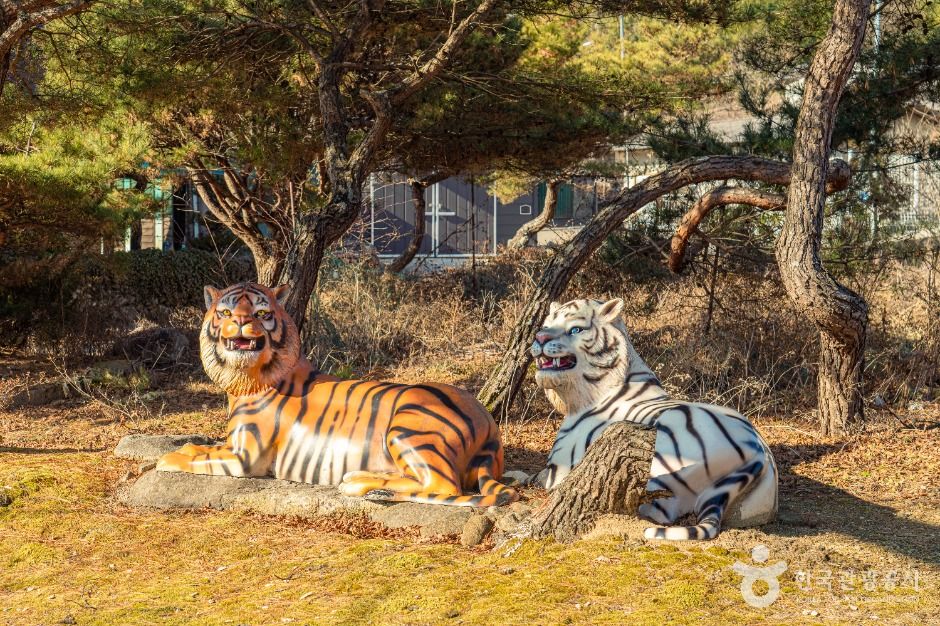 thumbnail-노치마을-3