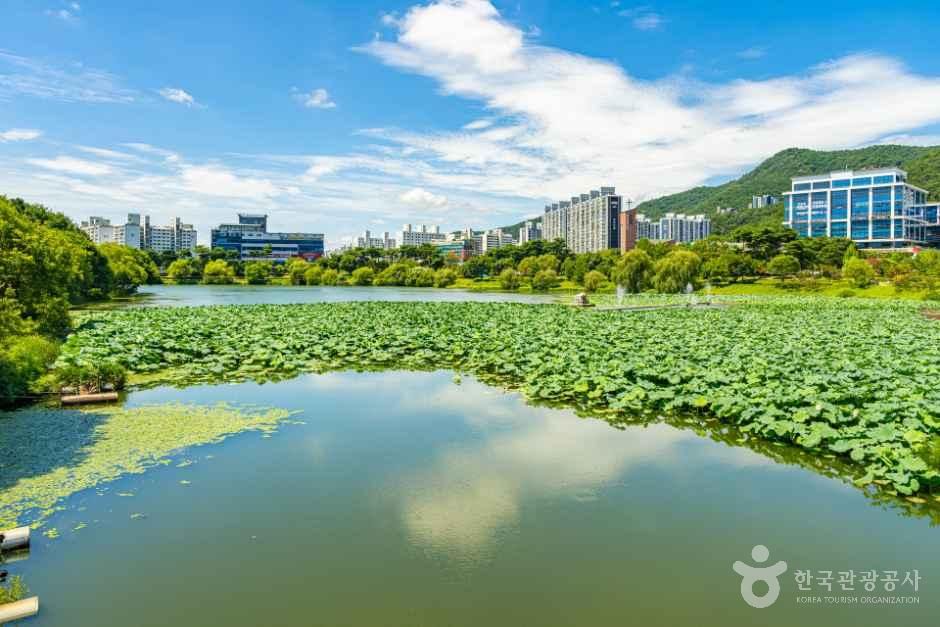thumbnail-조례호수공원-2