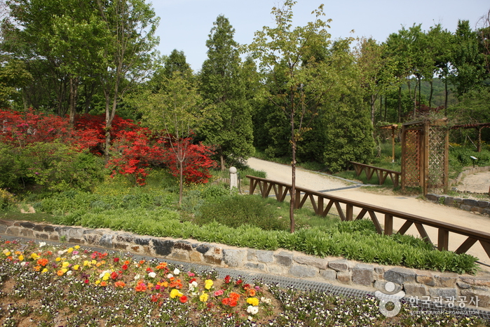 Hantaek Botanical Garden (한택식물원)